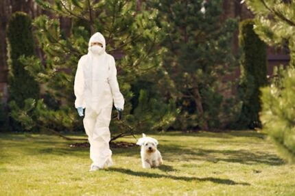 Person wearing protective gear walks dog on grassy lawn surrounded by trees.